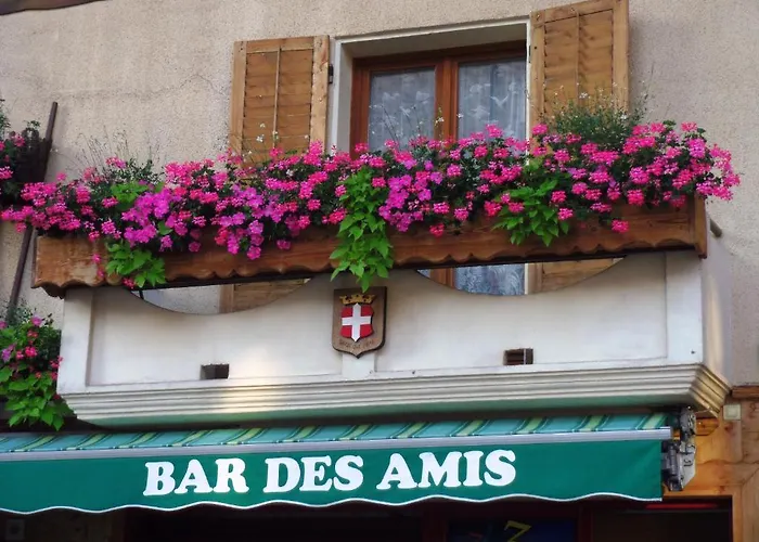 Hotell Du Bourg Ugine
